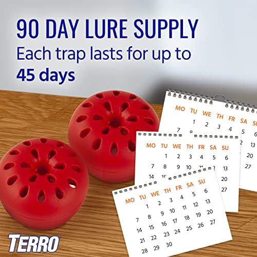 TERRO Fruit Fly Traps for Indoors (4 Pack) + 180 Days of Lure Supply