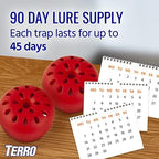 TERRO T2502 Ready-to-Use Indoor Fruit Fly Trap with Built in Window - 2 Traps + 90 day Lure Supply