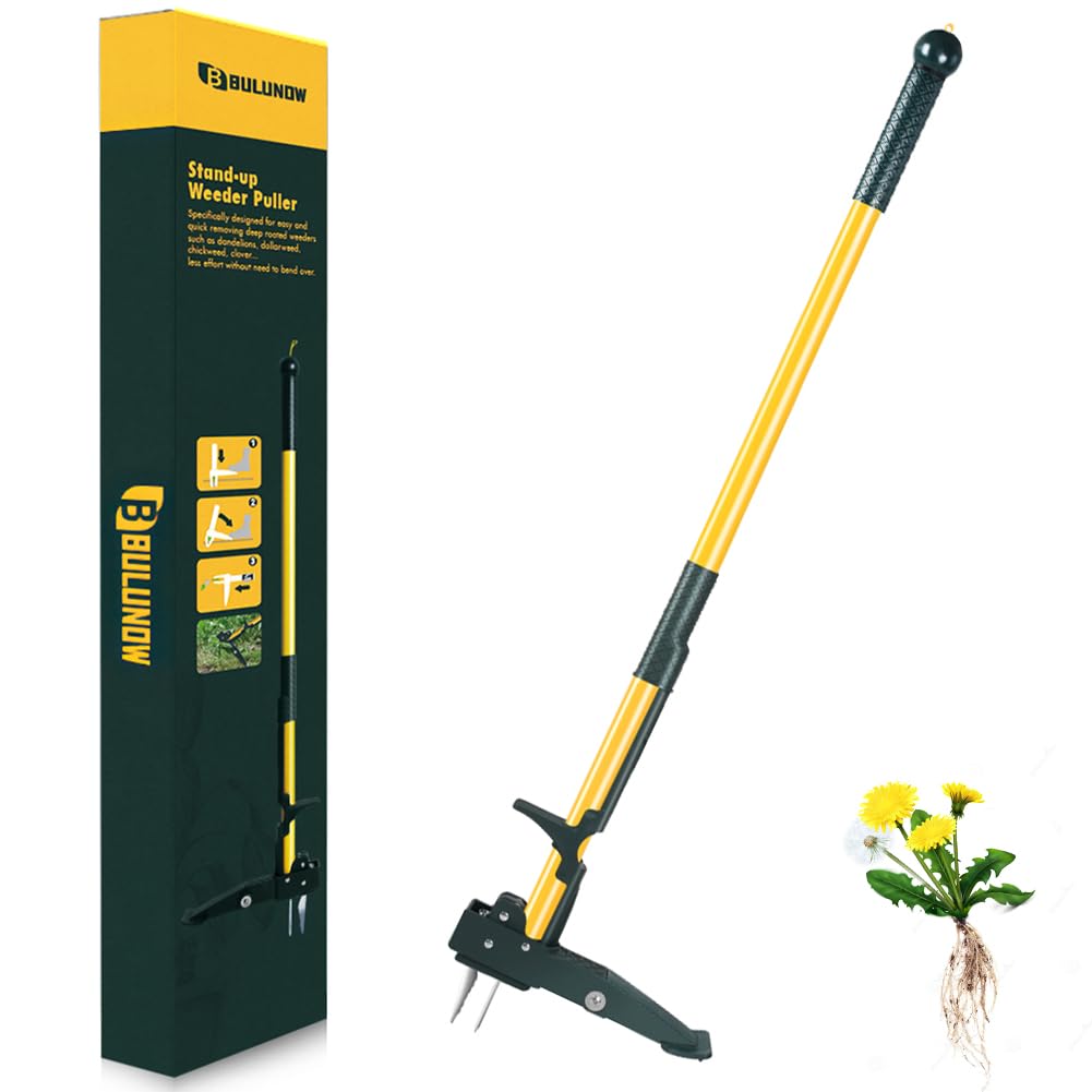 Weed Puller Tool, 50IN Long Handle 4 Claws Stand Up Weeding Tool, Extra Thickened Stainless Steel Shaft Garden Weeder,Remove the Roots of Thistles, Crabgrass, Dandelions, and Blackberries, etc.