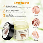 Beef Tallow and Honey Balm for Skin, Organic Grass-fed Whipped Beef Tallow Balm With Raw Honey for Face Natural Moisturizer Body Lotion, Skin Care Lip (2.1Oz)