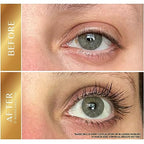 Eyelash Growth Serum: Get Thick, Strong Lashes in Just 3-4 Weeks with Our Plant-Based Eyelash Growth Serum - No Parabens or PG (5 ML)
