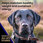 Victor Super Premium Dog Food – Select - Beef Meal & Brown Rice Formula – Gluten Free Beef Meal Dry Dog Food for All Normally Active Dogs of All Life Stages, 5 lbs