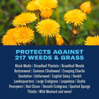 BioAdvanced All-In-One Lawn Weed and Crabgrass Killer I, Concentrate, 40 oz