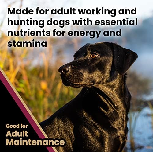 Victor Super Premium Dog Food – Realtree Edge Energy Dry Dog Food for Highly Active Dogs – Gluten Free Dog Food with Glucosamine and Chondroitin for Hip and Joint Health, 15 lb
