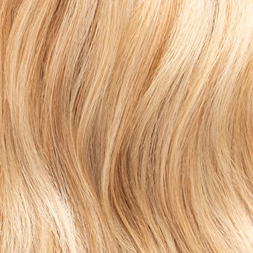 Eva NYC Mane Magic 10-in-1 Primer, Heat Protectant for Hair, Infused with Sunflower Seed and Argan Oil for Hair, Sulfate, Paraben & Phthalate Free, 5.4 fl oz