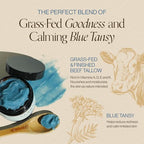 Beef Tallow For Face & Body | Grass Fed & Finished Beef Tallow Balm Infused with Essential Oils (Blue Tansy, Lavender, Jojoba) | Face Moisturizer to Revitalize and Nourish Skin - 2Oz