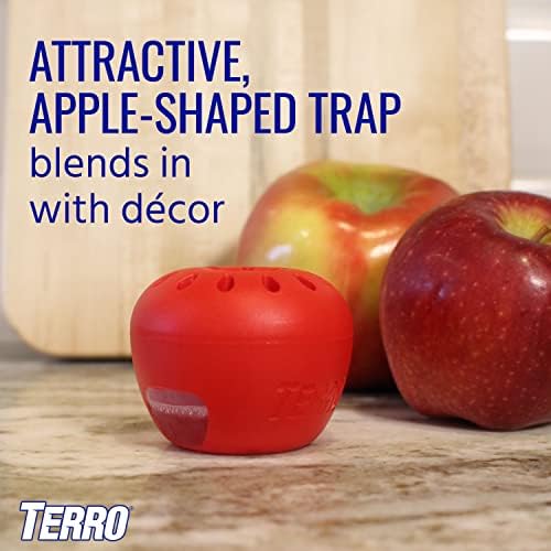 TERRO Fruit Fly Traps for Indoors (4 Pack) + 180 Days of Lure Supply