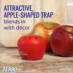 TERRO Fruit Fly Traps for Indoors (4 Pack) + 180 Days of Lure Supply