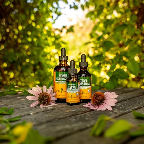 Herb Pharm Super Echinacea® Liquid Extract: USDA Organic Immune Support for Year-Round | Fast-Absorbing Echinacea Tincture, 4 Plant-Part Blend: Root, Leaf, Flower & Seed | Up to ~6 Week Supply, 2 oz*