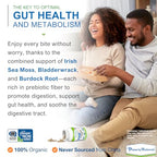 Power By Naturals SeaMoss Plus - USDA Organic Irish Sea Moss Capsules w/Wild Harvested Irish Seamoss, Bladderwrack & Burdock Root Immunity Supplement Sea Moss Pills for Adult 60Ct - 1 Pack