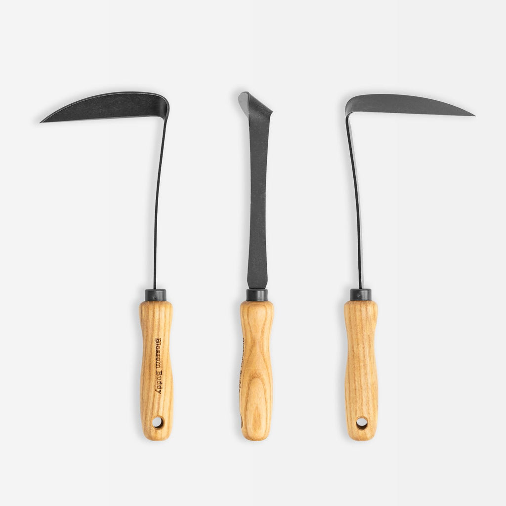 Blossom Buddy Cape Cod Weeder – Right Hand, Hand Weeding Tool for Tight Spaces Weeder Hoe with Ergonomic Ash Wood Handle for Weeding, Soil loosening, Digging
