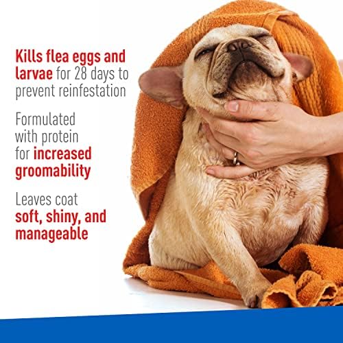 Plus Flea & Tick Foaming Shampoo & Wash for Dogs & Puppies Over 12 Weeks | Sensitive Skin Flea Treatment for Dogs and Puppies | Kills Adult Fleas, Ticks, and Lice On Contact | 10 Oz