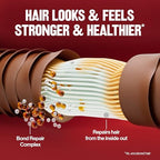 Revlon ColorSilk with Bond Repair Complex, Red Permanent Hair Color, 100% Gray Coverage, Ammonia Free Hair Dye, Vegan Keratin, 55 Light Reddish Brown (Pack of 3)
