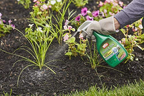 Ortho Grass B Gon Garden Grass Killer, 24-Ounce (3 Pack), Ready-to-Use, Spray, Weed Killer