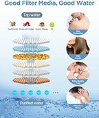 Filtered Shower Head with Handheld Combo Brushed Nickel - Dual 2-in-1 Spa System with Massage Shower Head and 10 Modes Hand Held Shower Head, High Pressure, Buit in Power Wash Mode