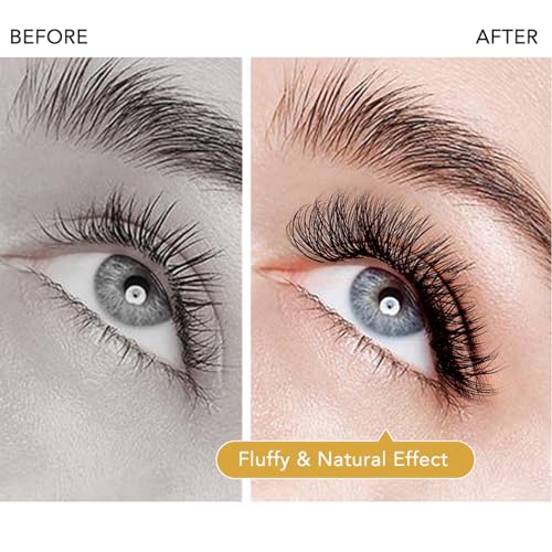 W Eyelash Extensions D Curl 0.07mm 8-15mm Mix Tray W Shaped 8D Volume Premade Fan Lashes Matte Black Cluster Easy Fans Lashes Professional Use YY Lash