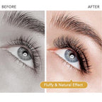 W Eyelash Extensions D Curl 0.07mm 8-15mm Mix Tray W Shaped 8D Volume Premade Fan Lashes Matte Black Cluster Easy Fans Lashes Professional Use YY Lash