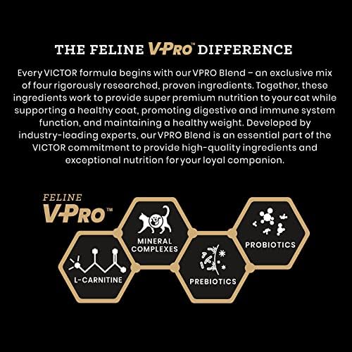 Victor Super Premium Pet Food VICTOR Classic - Mers Feline, Dry Cat Food