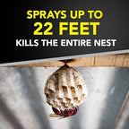 Raid Wasp and Hornet Killer (17.5 Ounce (Pack of 1))