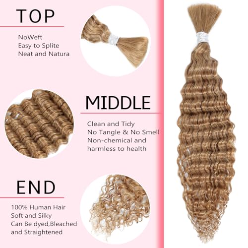 Human Hair Braiding Hair 14 Inch Deep Wave Bulk Human Hair for Braiding 10A Brazilian Curly Human Hair Extensions for Boho Braids Wet and Wavy Color 27# Honey Blonde Human Braiding Hair 2 Bundle 100g