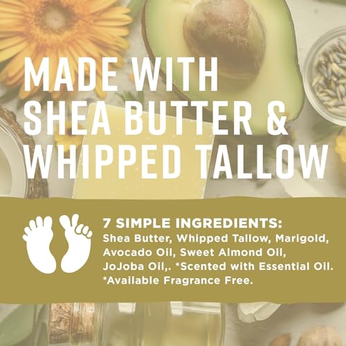 Sun & Done Whipped Beef Tallow for Skin - After Sun Care with 7 Simple Ingredients Including Shea Butter & Coconut | Sun Burn Healing Cream, After Tanning Lotion, After Sun Lotion, Gel, Moisturizer