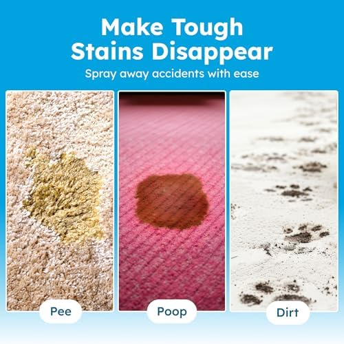 BugMD Enzyme Cleaner & Odor Eliminator for Strong Odor (32oz) - Pet Stain Remover for Carpet, Upholstery, Hardwood, Dog & Cat Urine - Powerful Deodorizer for Home, Floors, Furniture, & Carpet Cleaning