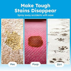 BugMD Enzyme Cleaner & Odor Eliminator for Strong Odor (32oz) - Pet Stain Remover for Carpet, Upholstery, Hardwood, Dog & Cat Urine - Powerful Deodorizer for Home, Floors, Furniture, & Carpet Cleaning