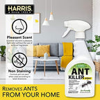 Harris Ant Killer Spray, 20 oz for Indoor and Outdoor Use
