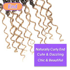 Boho Crochet Passion Twist Hair Pre looped, 10 Inch Goddess Passion Twist Crochet Hair with Curly Ends 8 Packs Ombre Honey Blonde Pre-twisted Bohemian Crochet Braids (8 PCS/88 STRANDS, T27)