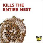 Raid Wasp Hornet Killer Spray (14 Ounce (Pack of 8))