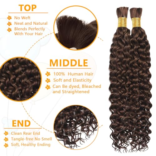 Human Braiding Hair Water Wave Bulk Human Hair For Braiding No Weft Wet And Wavy Human Hair Braiding Hair Extensions For Boho Braids 2 Bundles Human Hair Per Pack 100g (26inch, #4)