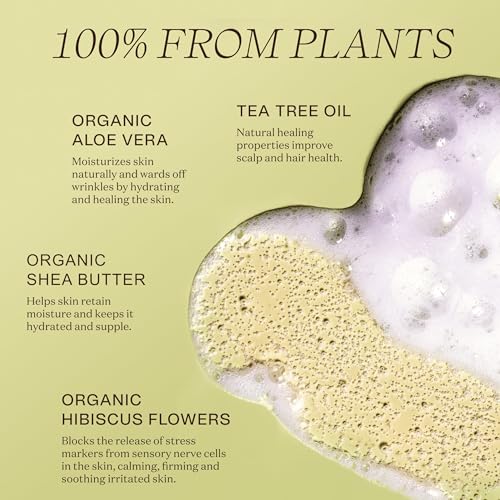 Non Toxic and Vegan Body Wash With Organic Ingredients - Moisturizing For Dry and Sensitive Skin, Natural and Organic, Paraben Free, Cruelty Free, Gluten Free, Sulfate Free (16 FL. OZ)