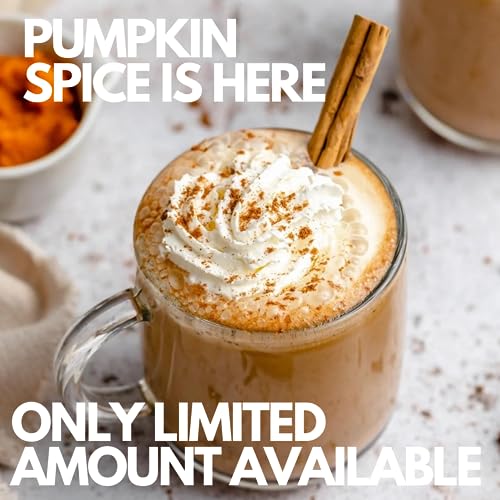 Sarasota Coffee Ground Packets | Gourmet Flavored Medium Roast Bulk Coffee Packs | Pumpkin Spice | Low Acid Mold Free Singles Individual Pouches for 12 Cup Coffee Maker | 2 Ounce Bags, 36 Count