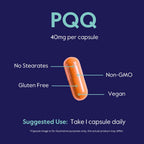 BESTVITE PQQ 40mg (Pyrroloquinoline Quinone) (120 Vegetarian Capsules) (60 x 2) - No Stearates - Vegan - Non GMO - Gluten Free