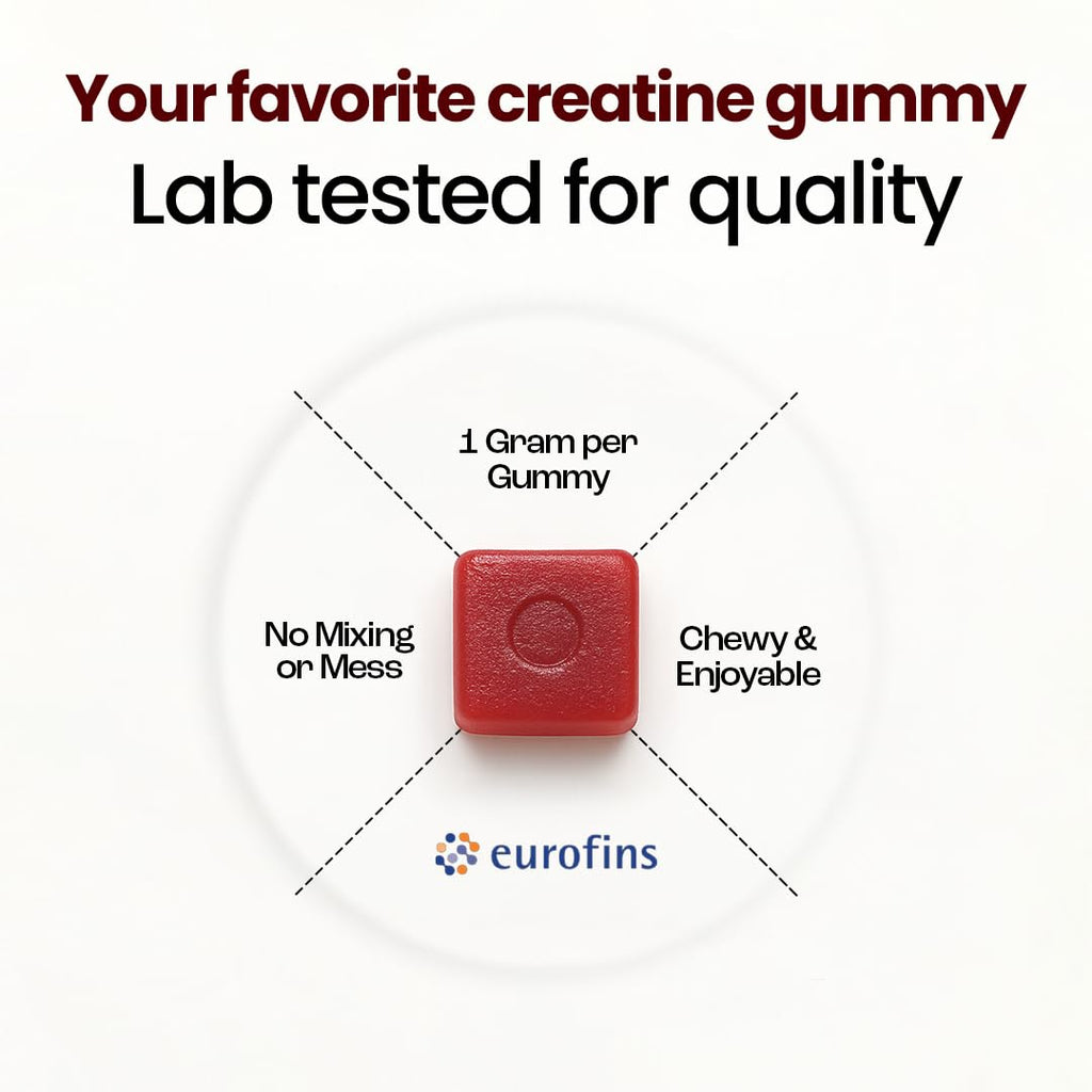 Creatine Monohydrate Gummies - Supports Muscle Growth, Recovery & Brain Function - Convenient & Easy to Take - Great Tasting Watermelon Flavor - 1g per Gummy, Low Sugar - 90 Count
