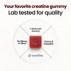 Creatine Monohydrate Gummies - Supports Muscle Growth, Recovery & Brain Function - Convenient & Easy to Take - Great Tasting Watermelon Flavor - 1g per Gummy, Low Sugar - 90 Count