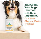 Doggie Dailies Omega 3 for Dogs, 225 Soft Chews, Salmon Oil for Dogs with Apple Cider Vinegar, Bee Pollen, Kelp, Zinc & Biotin - for Healthy Skin & Coat, Immune System & Seasonal Allergy Support