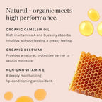 Kari Gran Lip Whip | Moisturizing Lip Balm with Organic Oils | Clear Glossy Sheen + Peppermint | Rich Buttery Texture, Hydrates & Protects | Non-GMO, Organic Ingredients, Made in USA (Marsala)
