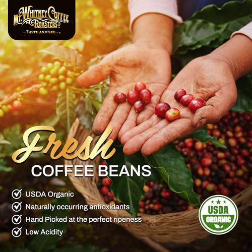 Mt. Whitney Base Camp Blend Coffee Beans - Medium Dark Roast Coffee, Low Acid Coffee - Ground Coffee, 5 pound (Pack of 1)