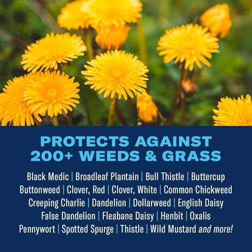 BioAdvanced Lawn Weed Killer, Concentrate, 32 oz