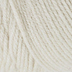 Red Heart Super Saver Aran E300-313 (3-Skeins - Same Dye Lot) Worsted Medium #4 Acrylic Yarn for Crocheting and Knitting with Project Bag
