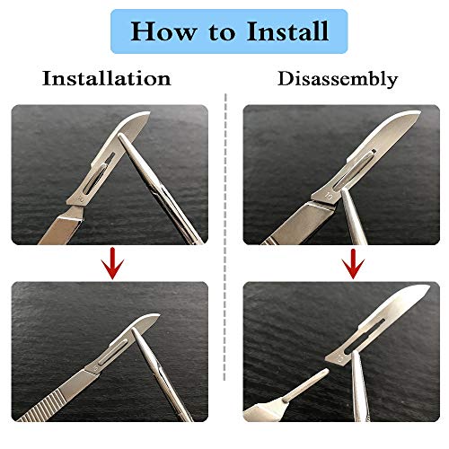 Surgical Grade Blades #10 Round 50pcs Sterile Scalpel Blades Individually Wrapped, with Storage Case, for Dermaplaining, Dermaplane Tools, Biology Lab Anatomy, Sculpting, Repairing (#10 Round, 50)