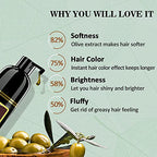 Instant Wine Red Hair Coloring for Women and Men - 3 in 1 Herbal Hair Dye Shampoo with 100% Gray Coverage in Minutes, 500ml, 16.9 Fl Oz