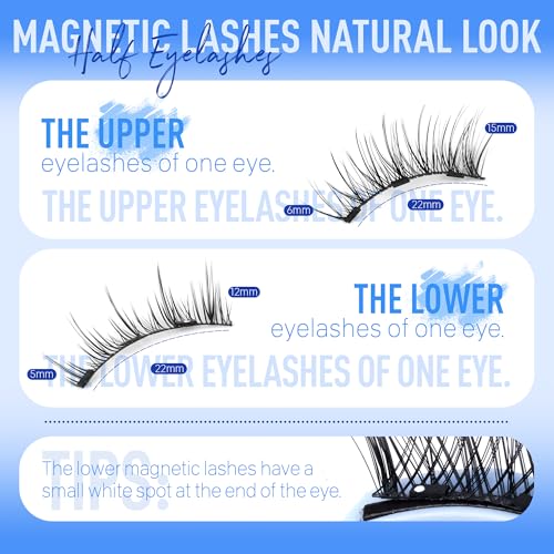 Magnetic Eyelashes Half Lashes Magnetic Eyelashes with Applicator Cat Eye Magnetic Lashes Wispy Magnetic Eyelashes Natural Look No Glue Needed False Eyelashes Magnetic Lashes with Clamp by Eefofnn