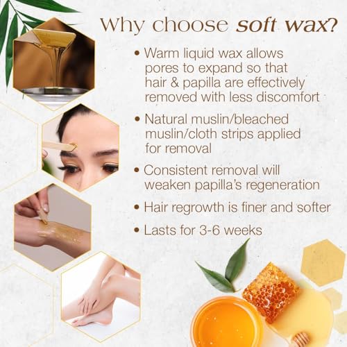 GiGi All Purpose Honee Hair Removal Soft Wax for All Skin and Hair Types, 14 oz