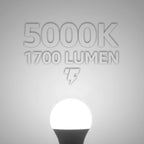 TORCHSTAR 1700LM Universal Garage Door Opener LED Light Bulb, UL FCC DOE, 15W Ultra Bright, Minimize Interference, 100W Eqv. 120V, A19 Bulbs, E26 Base, 5000K Daylight, Pack of 2