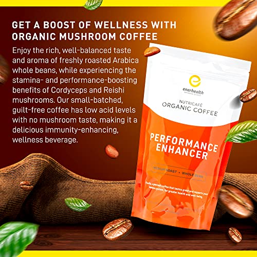 Enerhealth Botanicals NutriCafé Perfomance Enhancer – Fairly Traded, Low Acid, Medium Roast Whole Arabica Bean Coffee, Infused with Organic Mushroom Extracts to Increase Stamina & Performance – 12 oz