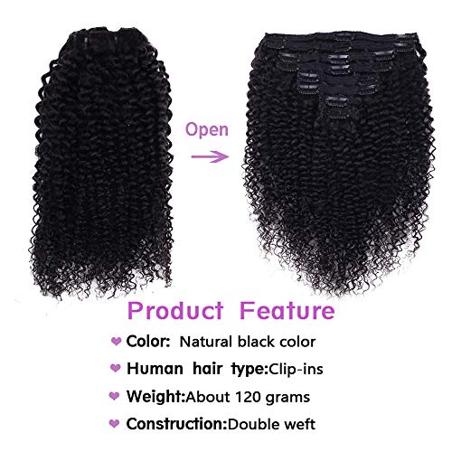 Curly Clip In Extension Human Hair 3C 4A Kinky Curly Clip Ins Full Head for Black Women Brazilian Remy Human Hair Natural Color 8Pcs with18clips 120g/Set(22 inch, curly wave)