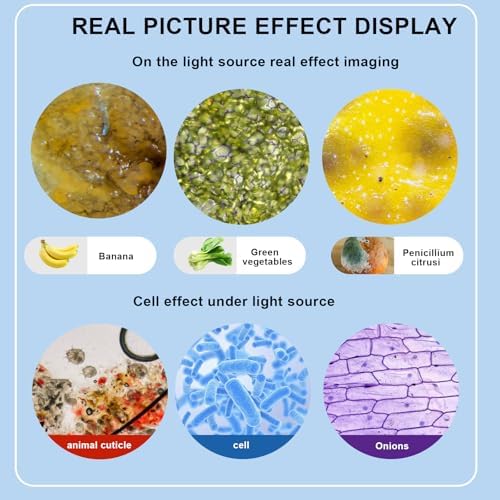 Trinocular Microscope 40X-5000X Magnification Laboratory Grade with Dual Mechanical Stage and HD USB Camera Microscope for Adults
