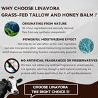 Tallow and Honey Balm – Natural Moisturizer with Grass-Fed Beef Tallow for Skin, Honey, Vitamin E – Unscented, 4oz – Ideal for Face & Body Care